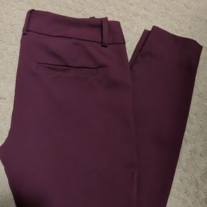 The Limited Ideal Stretch Pants